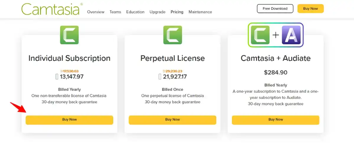 camtasia pricing